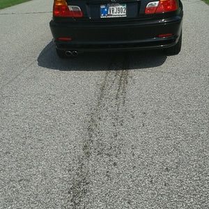 Meet your Posher, Joan